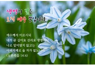 엽서형 전도지-02
